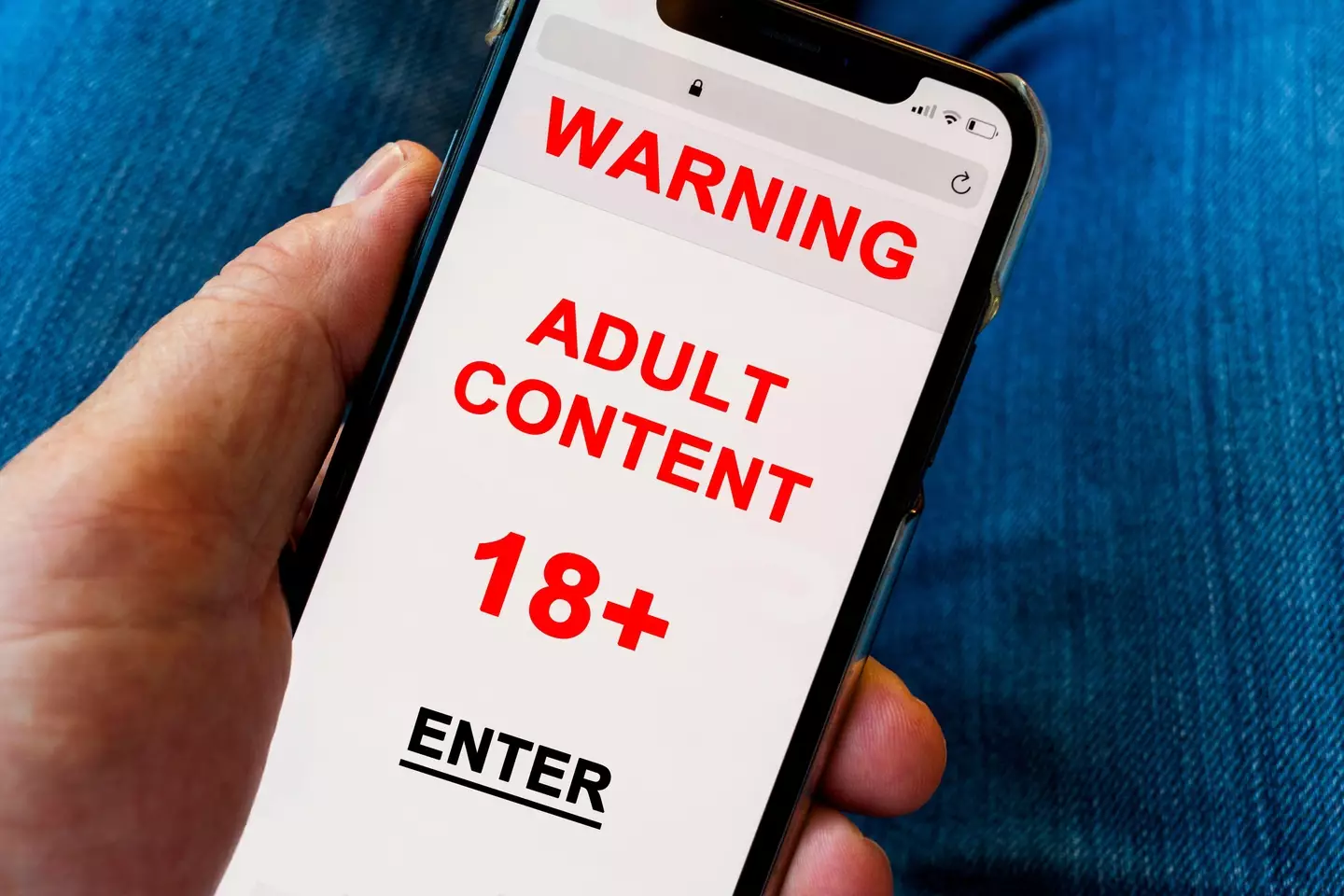 A new law in the US requires people to provide their age to access porn sites.