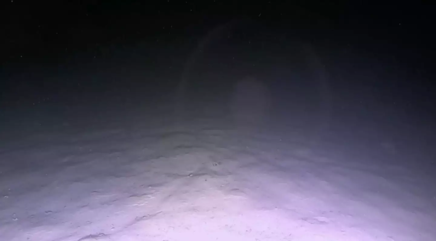 There is too little oxygen for life to survive at the bottom. X/@Discovery