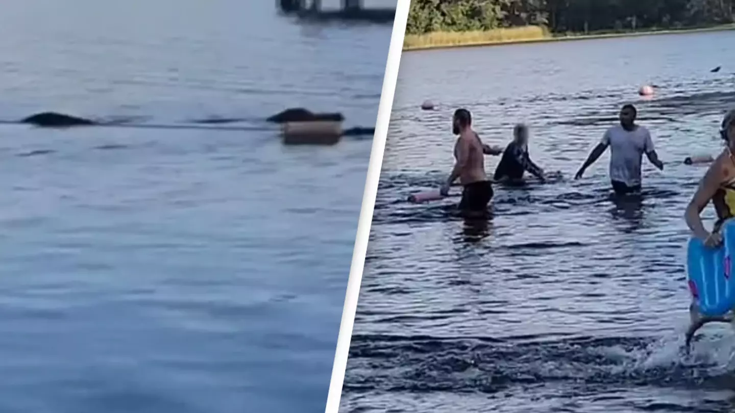 Terrifying moment Texas Girl Scouts flee from charging 14-foot alligator