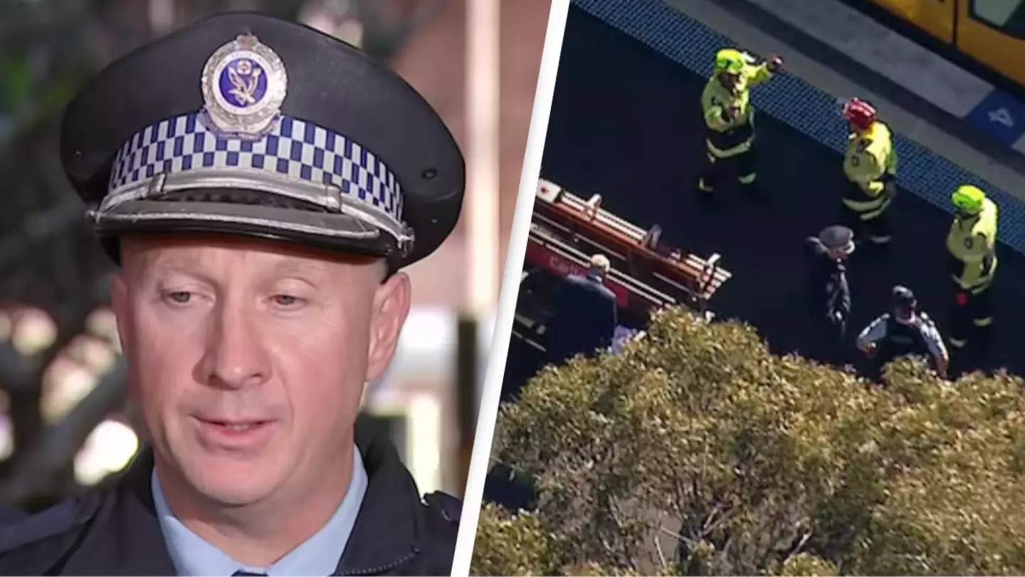 Father's last 'heroic' moments revealed after stroller rolls onto train tracks killing himself and daughter