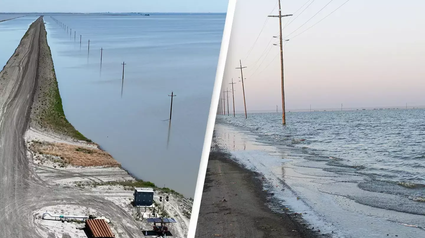 Robert Gauthier/Getty/Andrew Lichtenstein/Getty