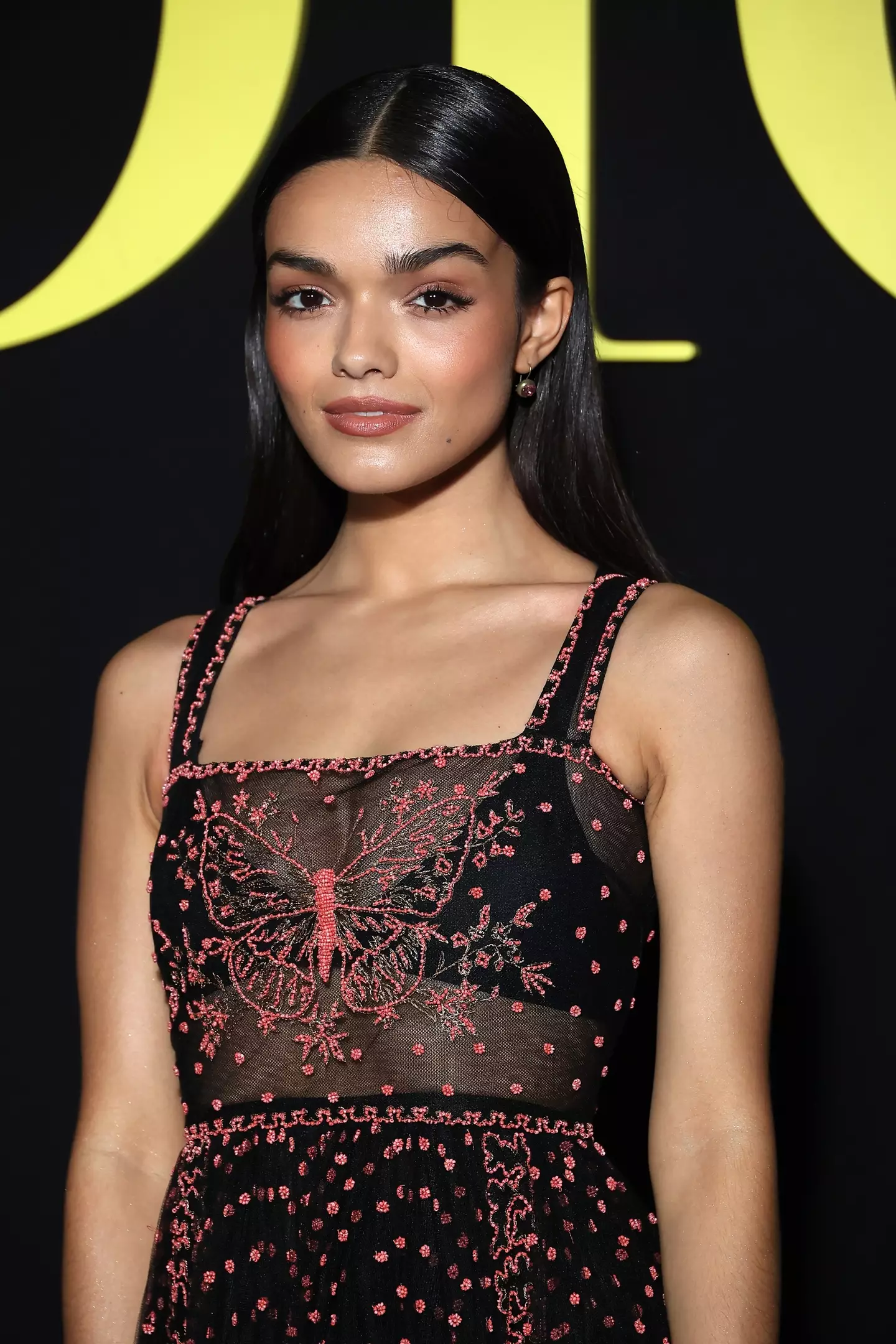 Rachel Zegler spoke out in Taylor Swift's defense.