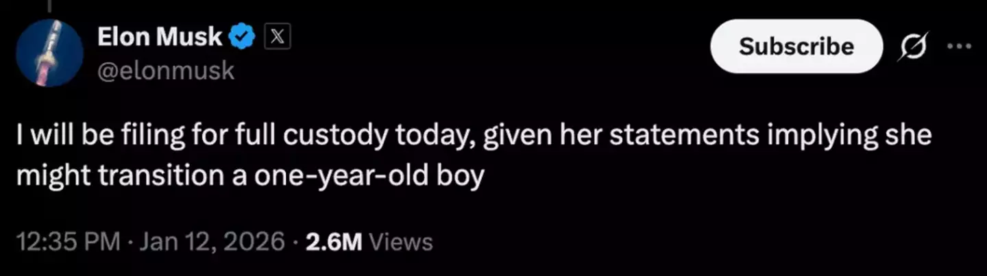 Elon Musk stated he would be filing for 'full custody' (Twitter)