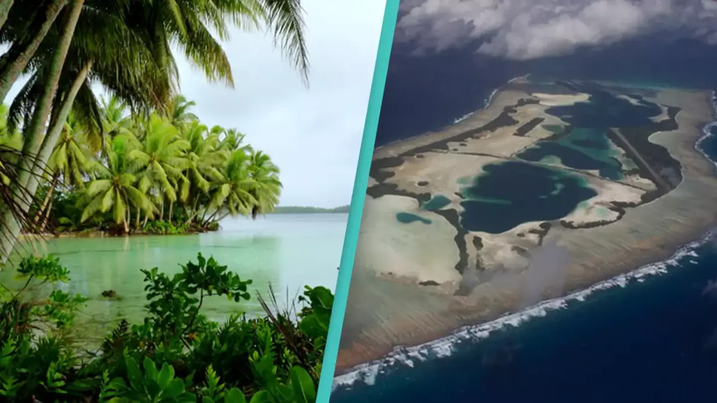 Laura Beauregard/USFWS Pacific Islands/Alex Wegmann/The Nature Conservancy