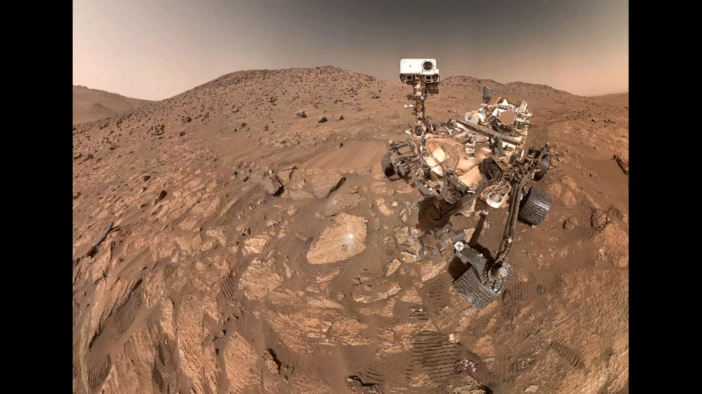 The Perseverance rover's discovery could change a lot. (NASA/JPL-Caltech/MSSS)