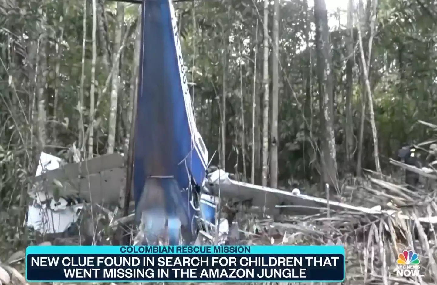 The bodies of three adults were found along with the plane wreckage.