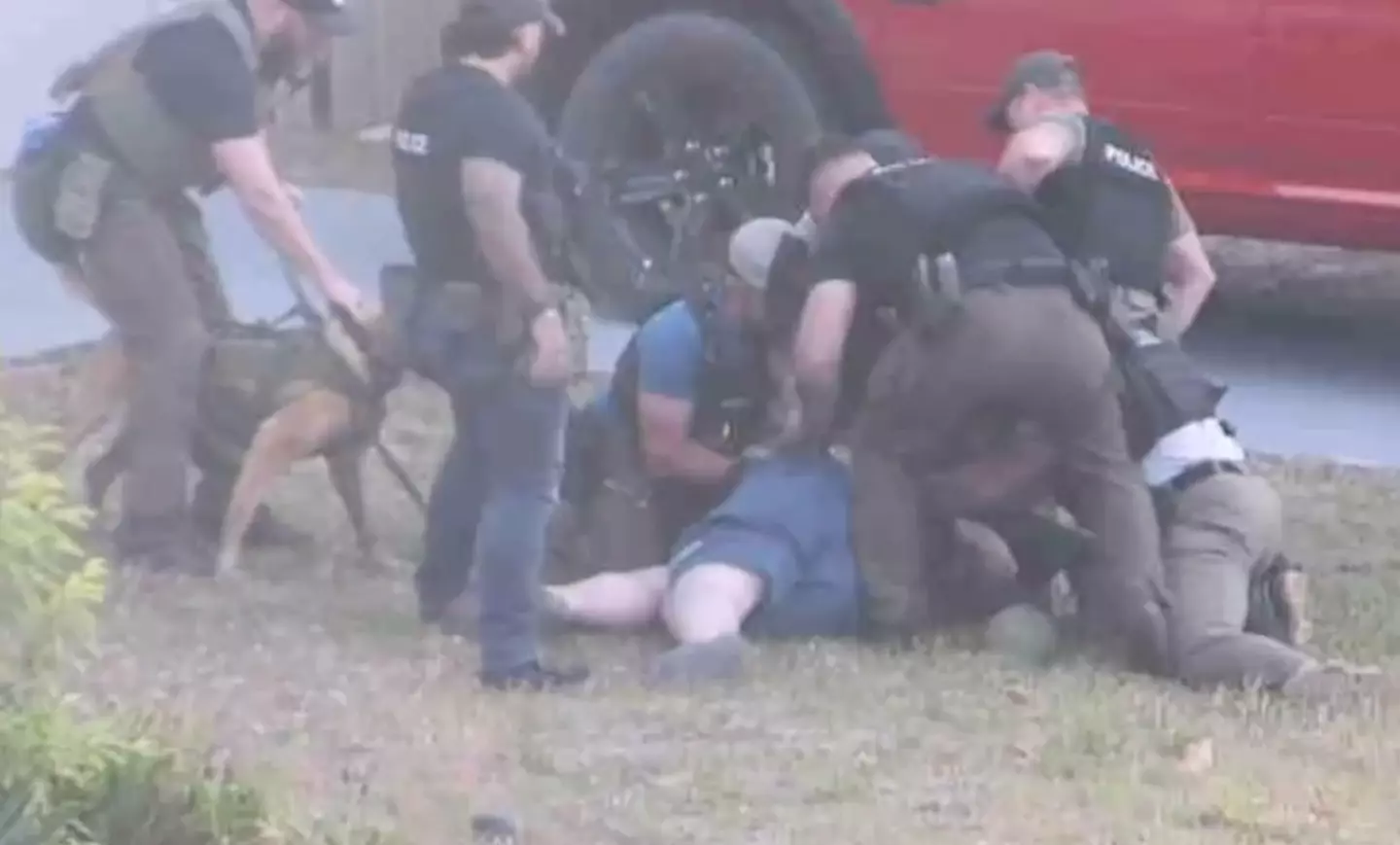 Video footage of the moment Maddox of the arrest has also been shared by the Jacksonville Sheriff’s Office.  (Jacksonville Sheriff's Office)