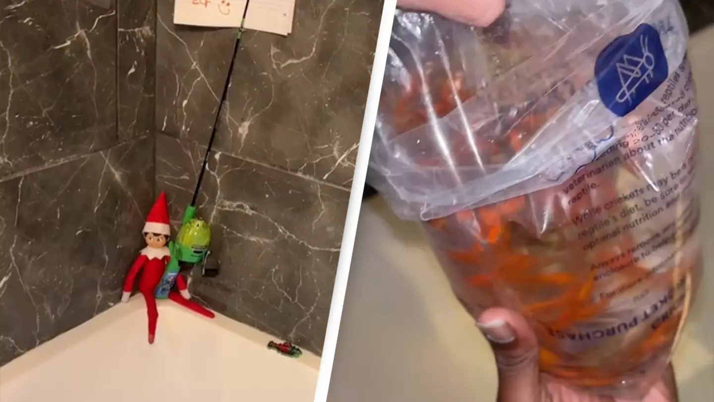 Mom slammed for 'disturbing' elf on the shelf setup