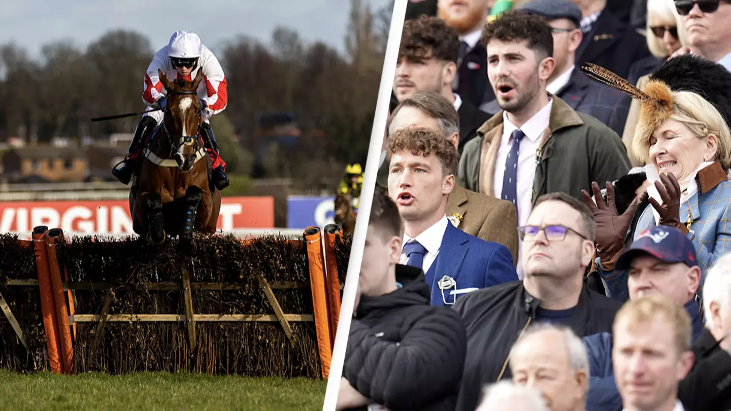 First Horse Has Died At Cheltenham Festival After Falling At Final Hurdle