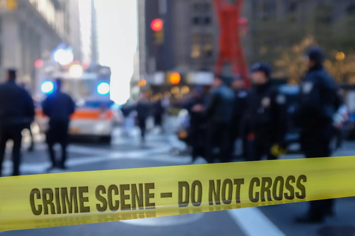 Crime rates have declined in the US over 2025 (Getty Stock Image)