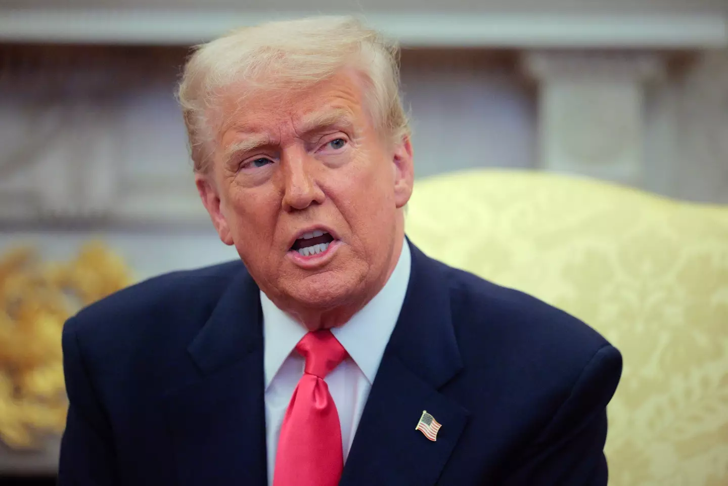 Trump bragged that egg prices were falling, much to the ire of some people(Chip Somodevilla/Getty Images)