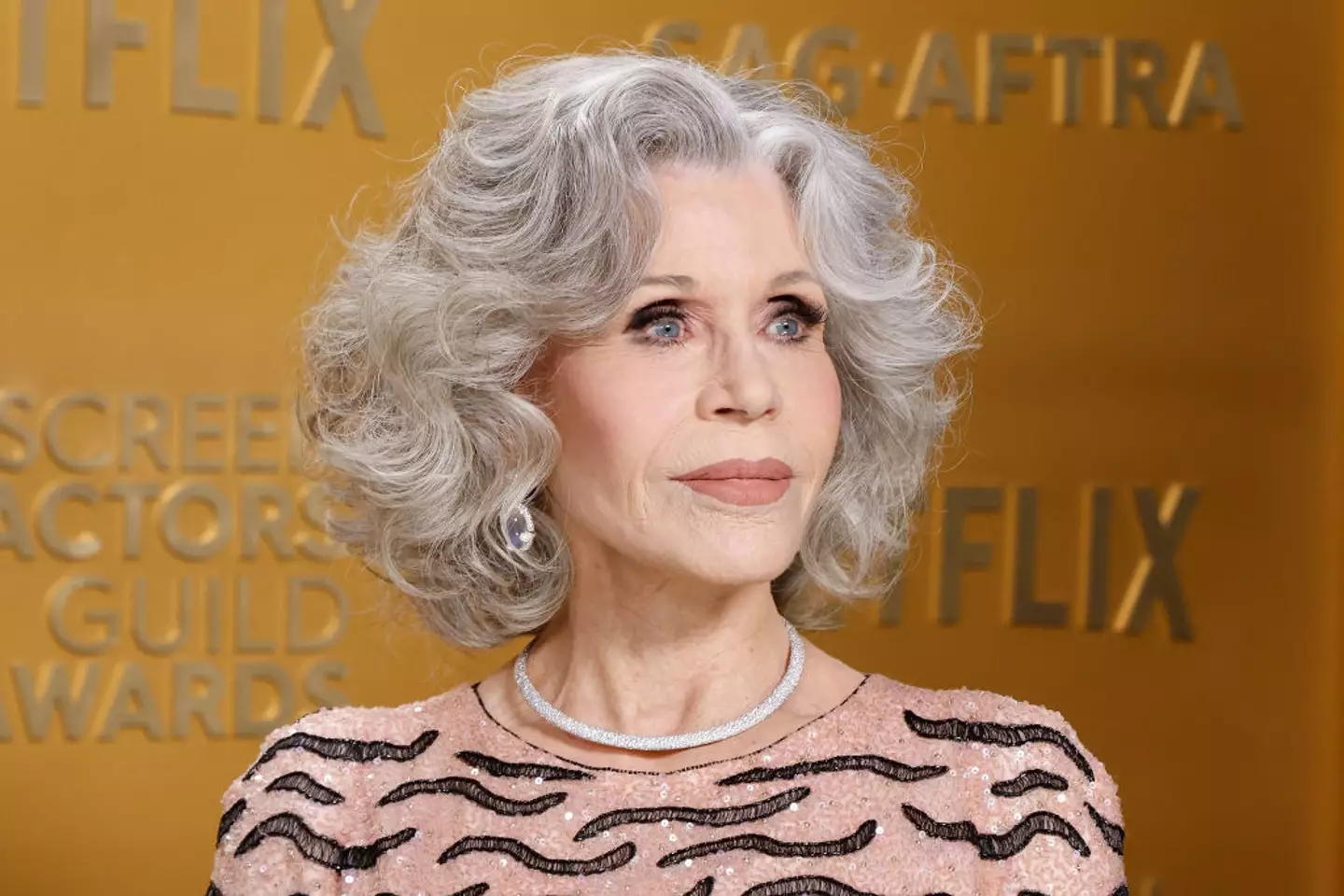 Jane Fonda was awarded the SAG Lifetime Achievement Award on Sunday (Taylor Hill/FilmMagic)