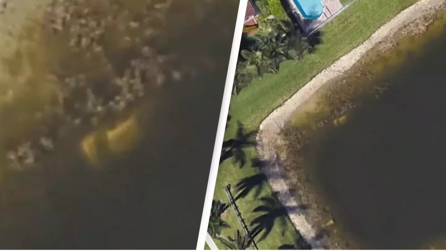 Remains of person missing for 22 years discovered by man using Google Earth to check out old neighborhood