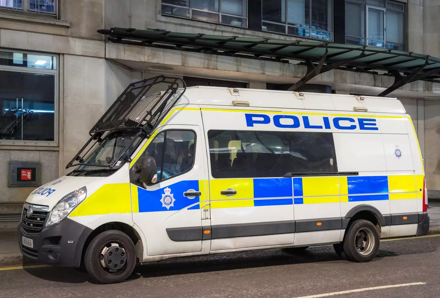 The 41-year-old flight attendant was arrested by police in London upon touching down at Heathrow Airport (Getty stock)