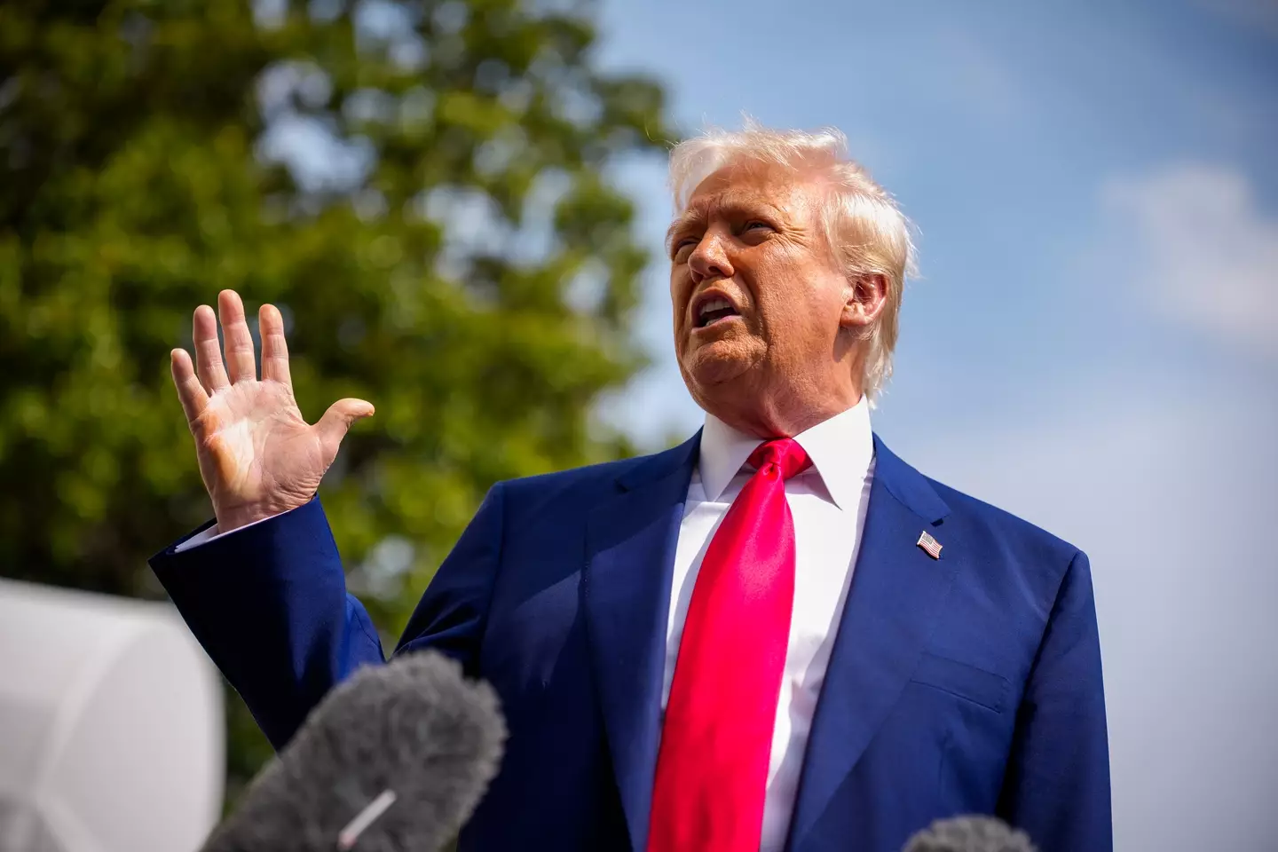 Trump's tariffs have seemingly not impacted the value of the find (Andrew Harnik/Getty Images)