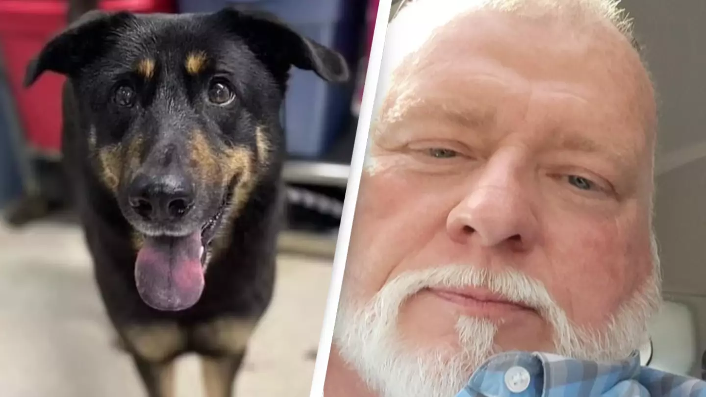 Dog Abandoned Because Owners Thought He Was Gay Adopted By Gay Couple