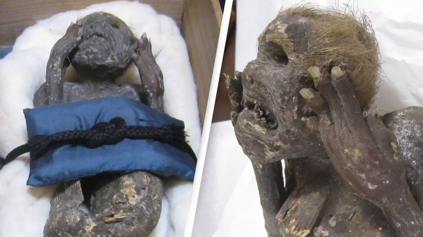 Ancient Mummified ‘Mermaid’ Rumoured To Grant Immortality To Anyone Who Eats It Being Investigated