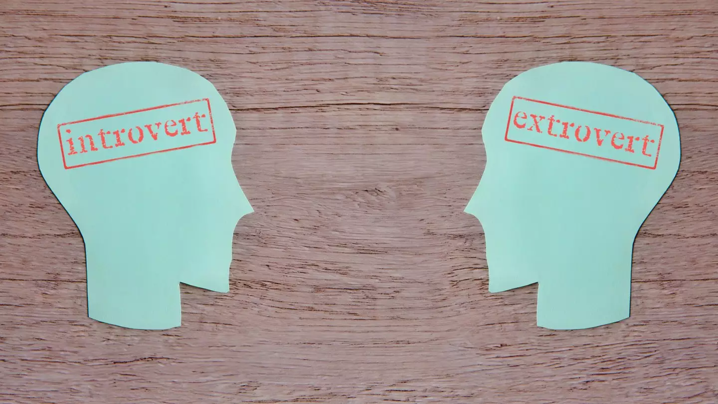 You know about introverts and extroverts (mohd izzuan/Getty)