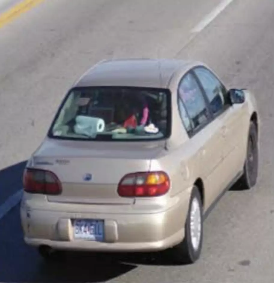 Amanda Rodgers had been driving a 2003 tan Chevrolet Malibu (Camden County MO Sheriff's Office)