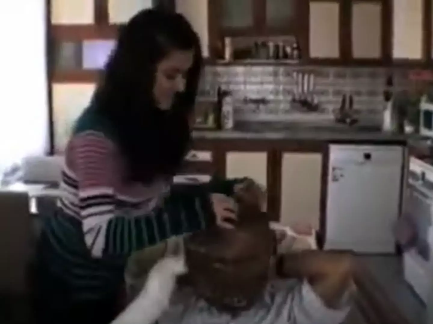 He kept his head inside of the cage (Hurriyet Daily News)