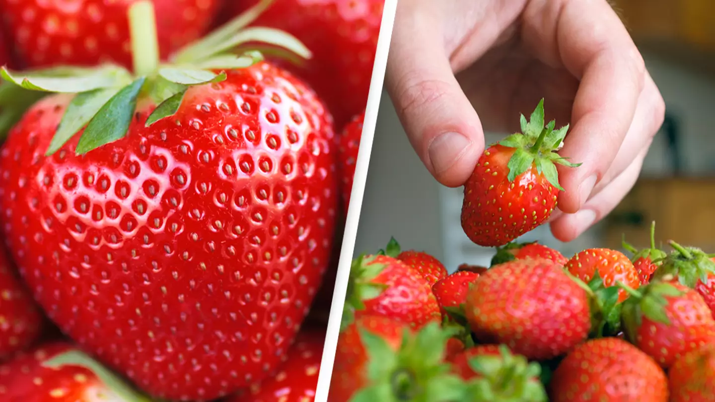 People mind-blown after discovering what the white dots on strawberries are