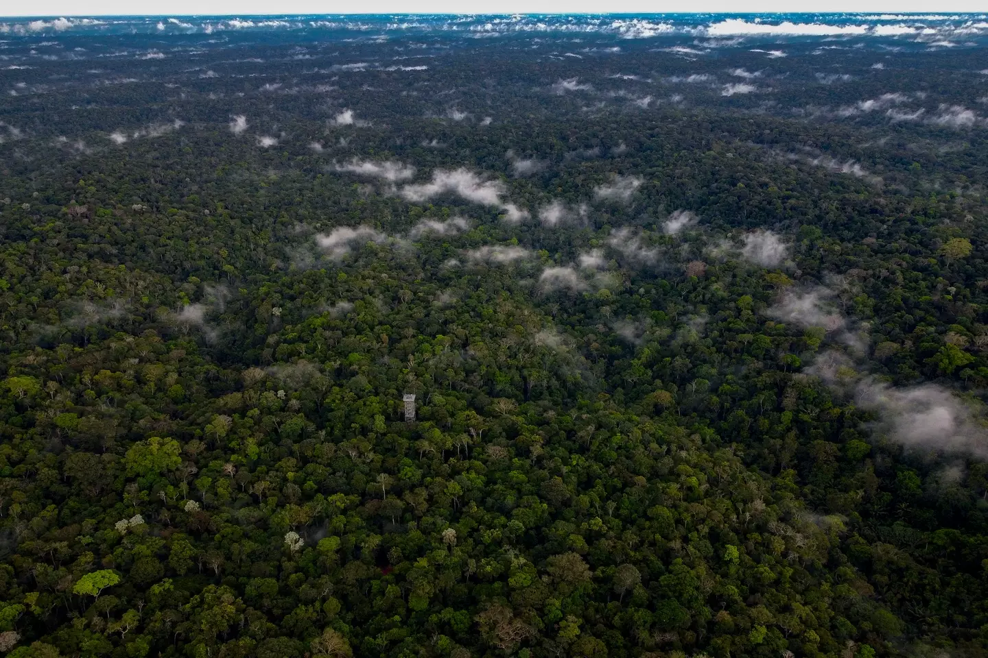 The Marubo people live in a remote part of the Amazon rainforest (Getty Images/ Michael Dantas/ AFP)