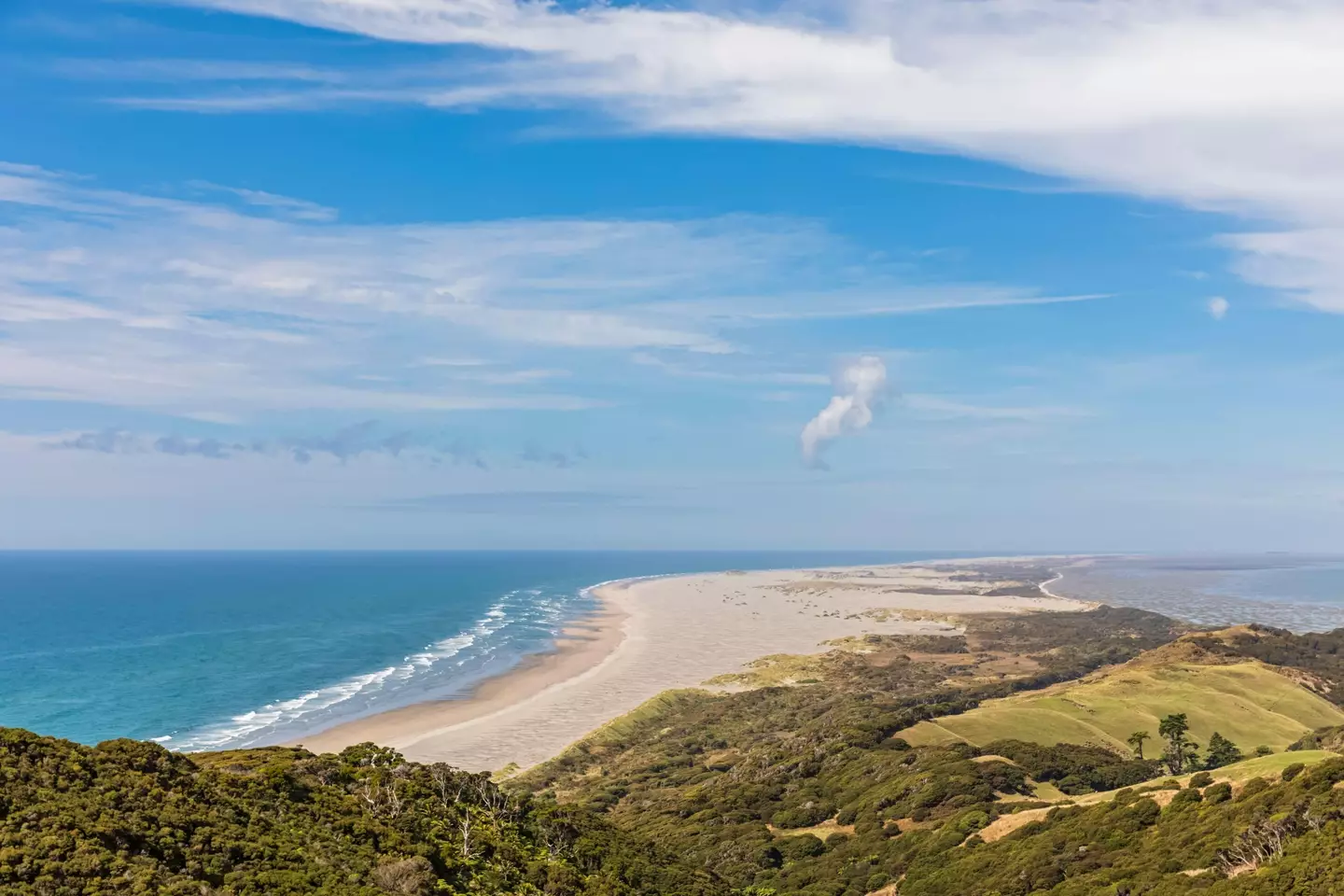 Farewell Spit (Alamy)