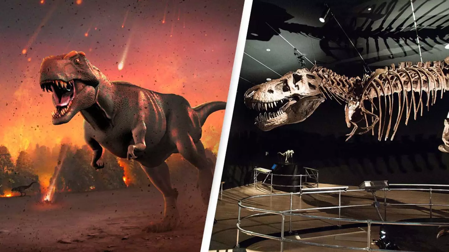Scientists believe they’ve solved the mystery of the dinosaur extinction