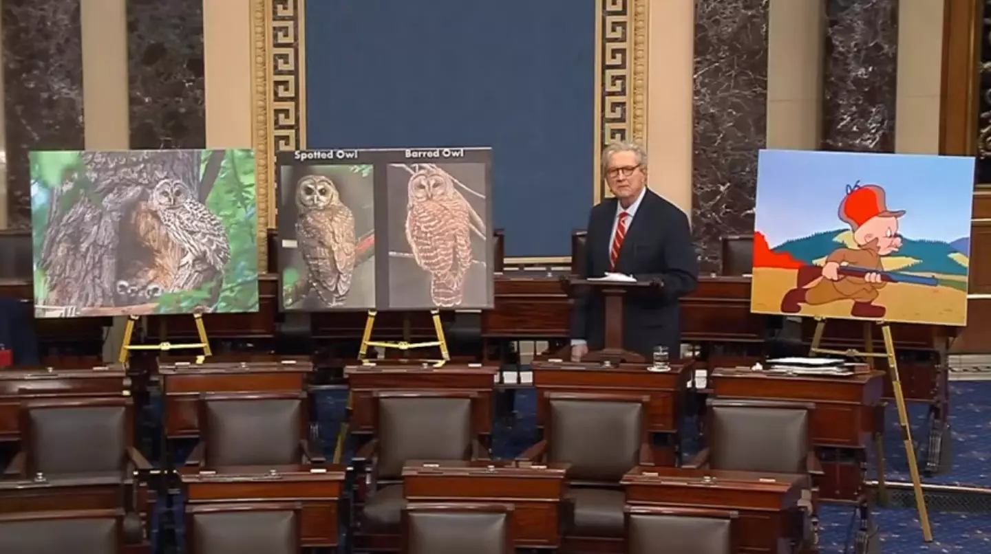 Senator Kennedy delivered an impassioned speech (YouTube/Senator John Kennedy)