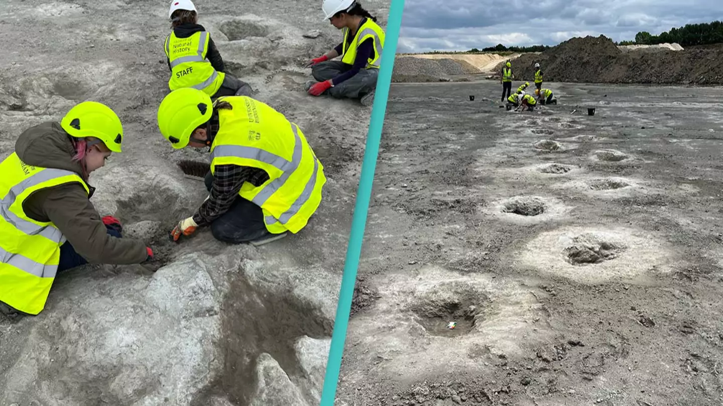 Hundreds of dinosaur footprints found in quarry by researchers in extremely 'rare' discovery