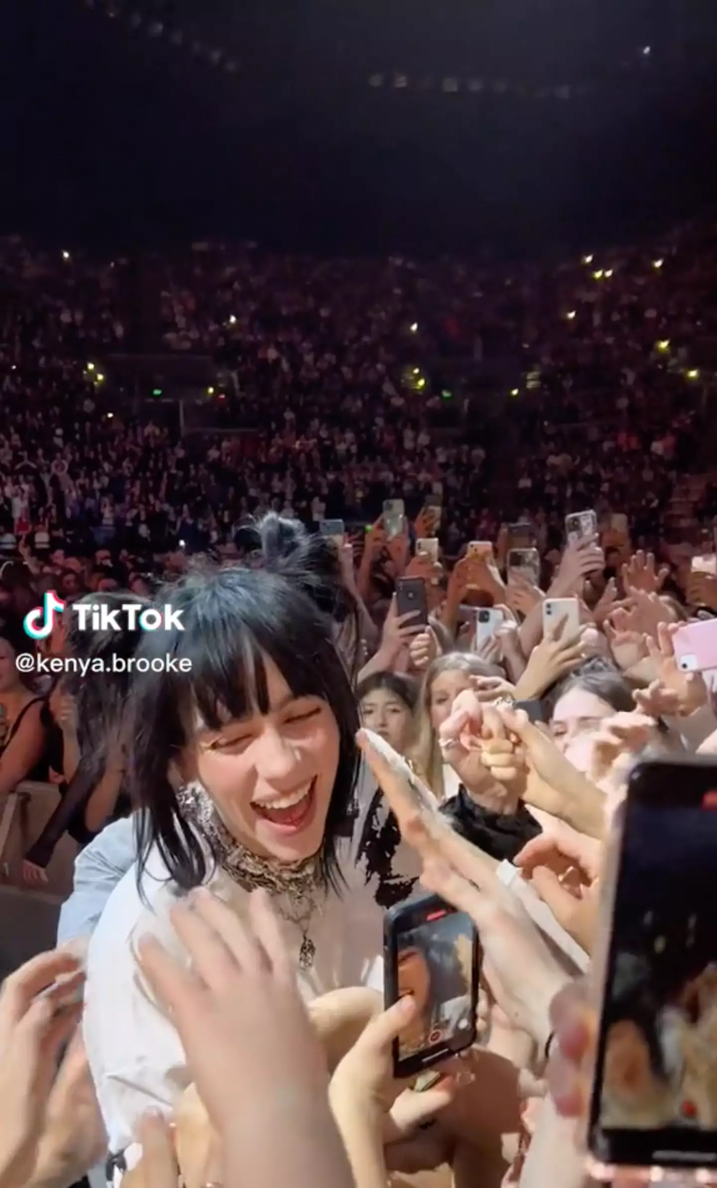 Billie Eilish meets fans at her concert.