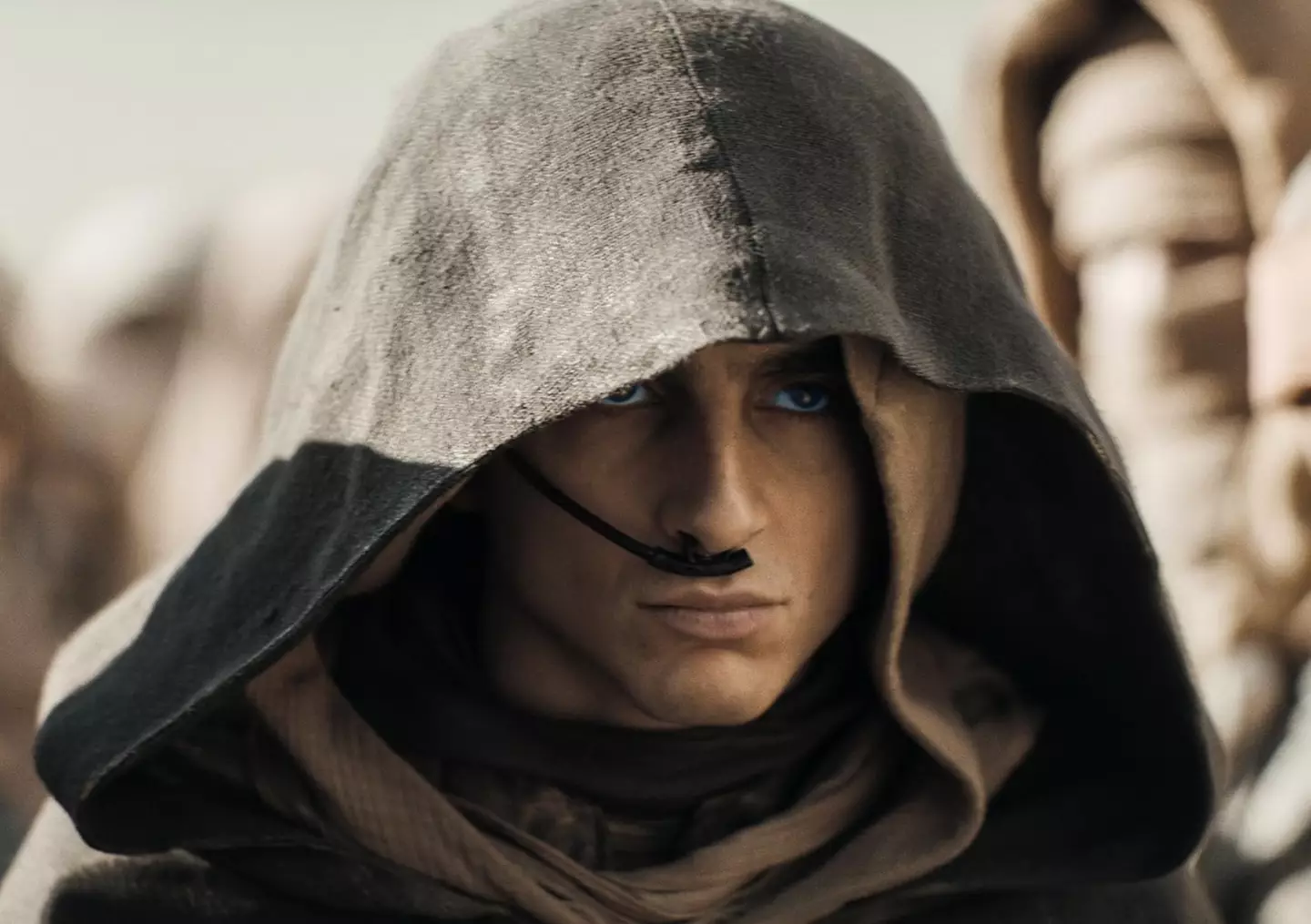 Dune: Part Two, starring Timothée Chalamet and Zendaya, released earlier this year. (Warner Brothers)