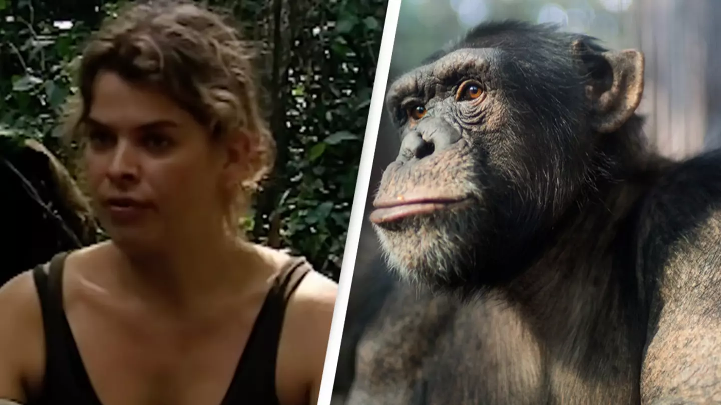 Woman recalls the moment she watched herself being ‘eaten alive’ by chimpanzee