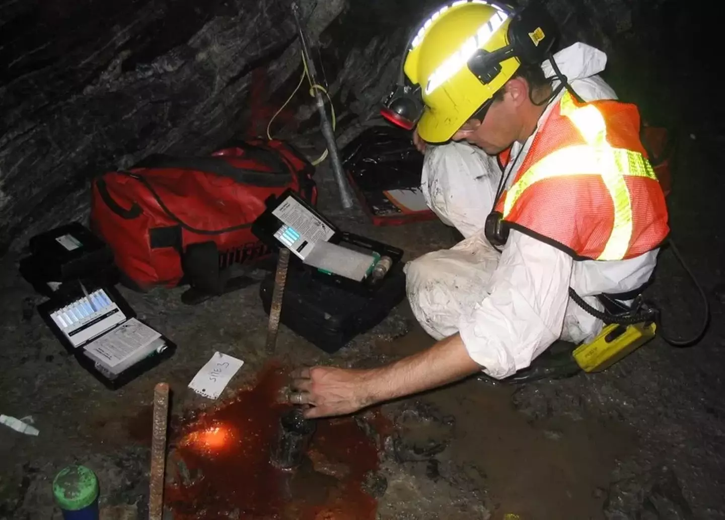 The world's oldest was found in 2016.