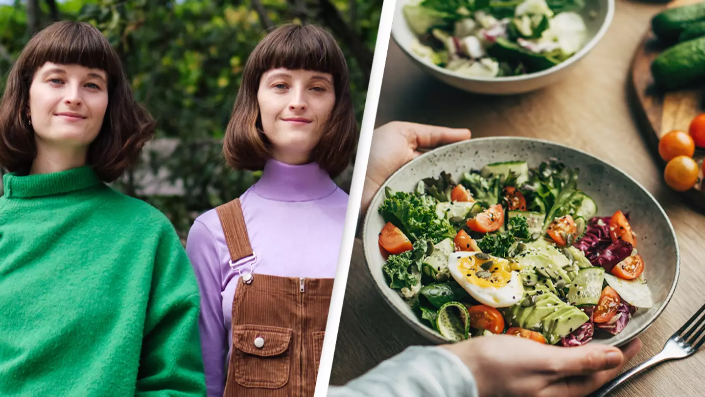 Twins study reveals major effect it has on their brains when one ate healthy foods and the other didn’t