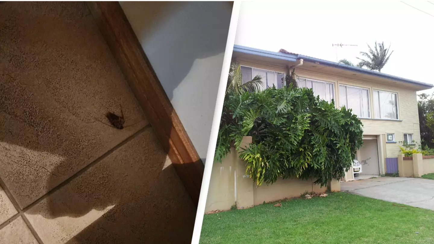 Woman furious after hotel staff refuse to refund cockroach-infested room