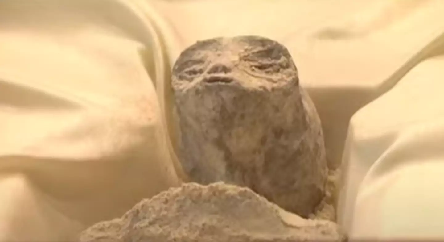 The 'non-human corpses' were unveiled at an official event in Mexico.