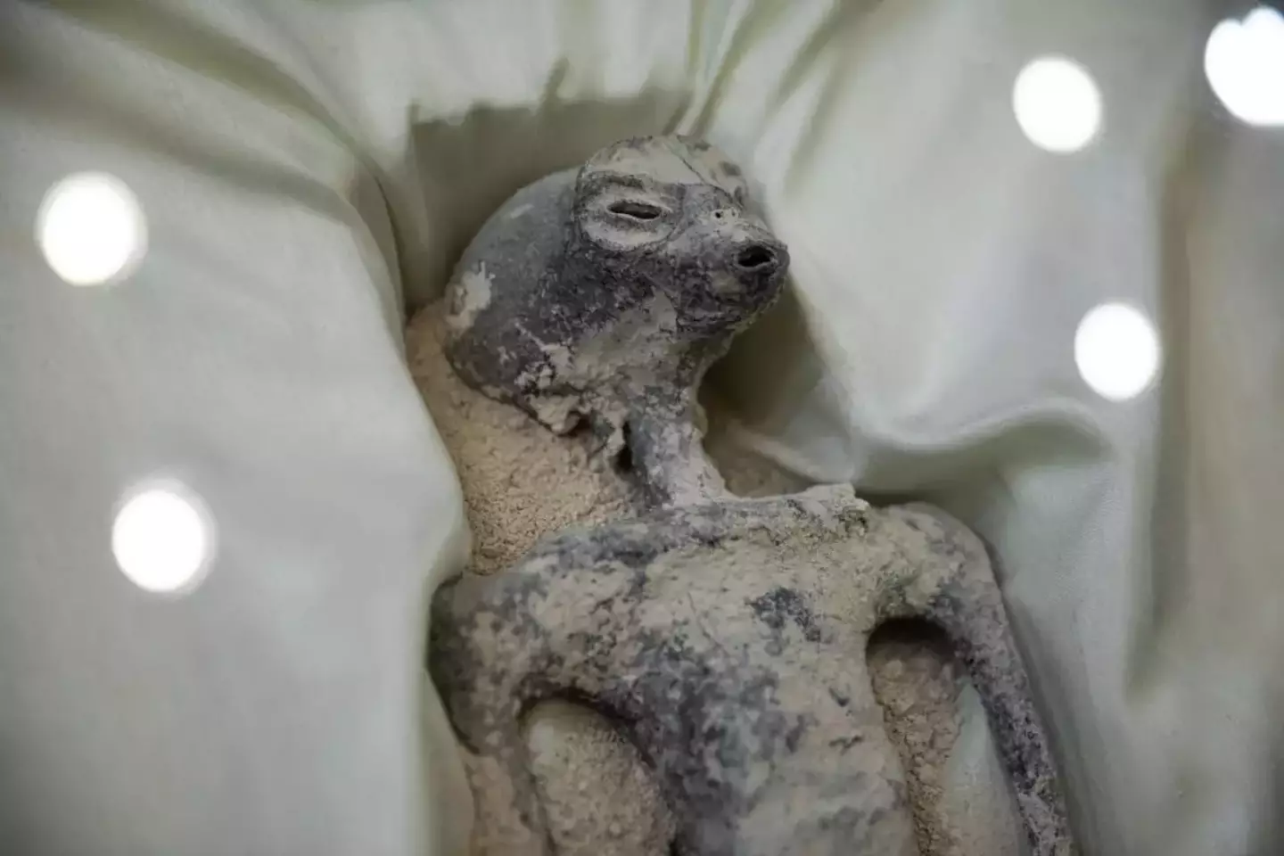 The 'alien bodies' were recently presented to the Mexican government.
