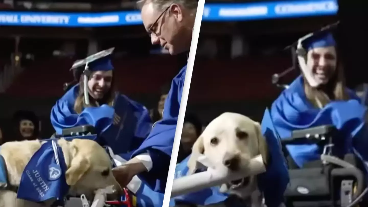 Service dog receives diploma alongside owner at college graduation