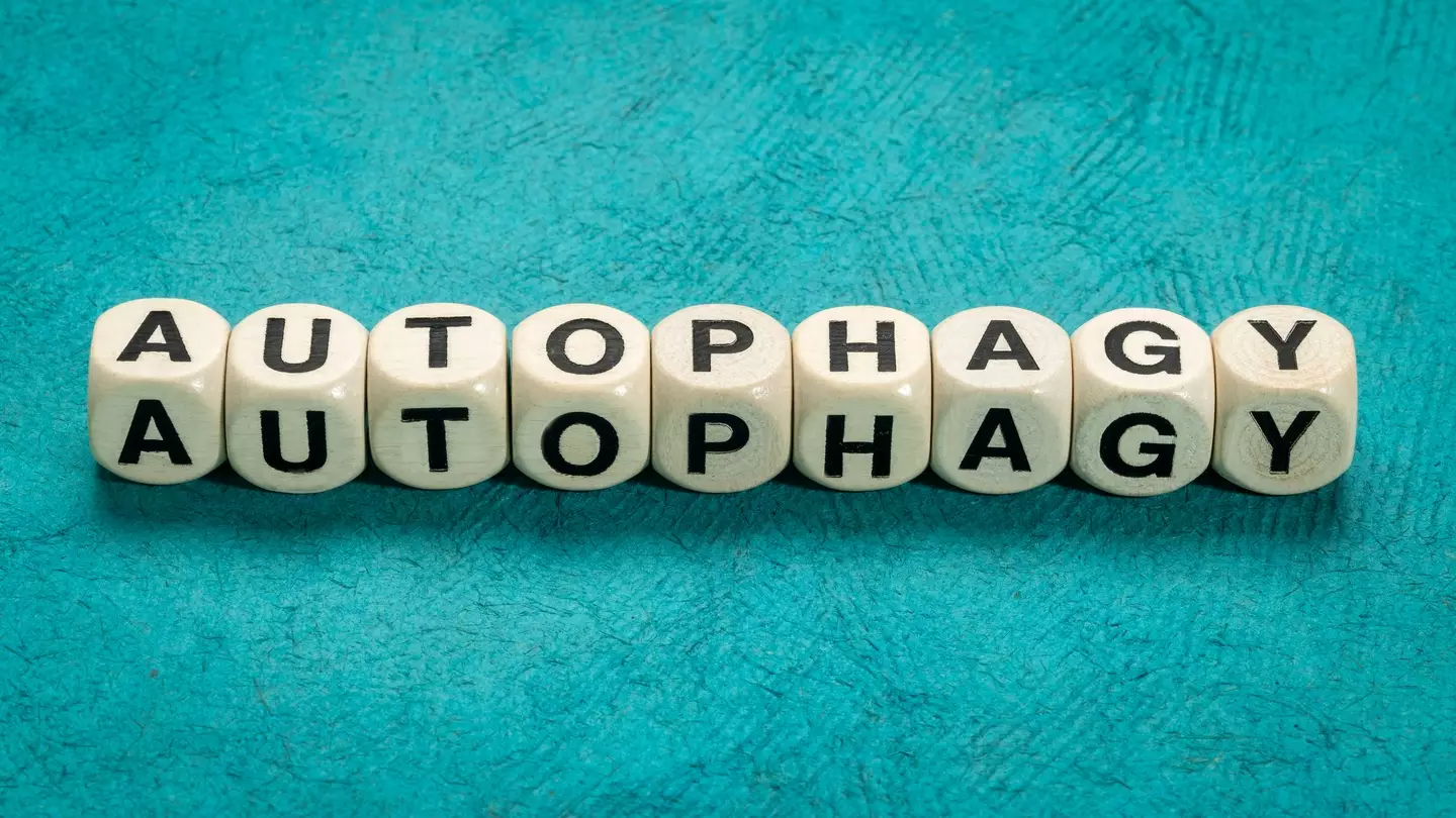 He explained the benefit in a three-day fast comes down to autophagy (Getty)