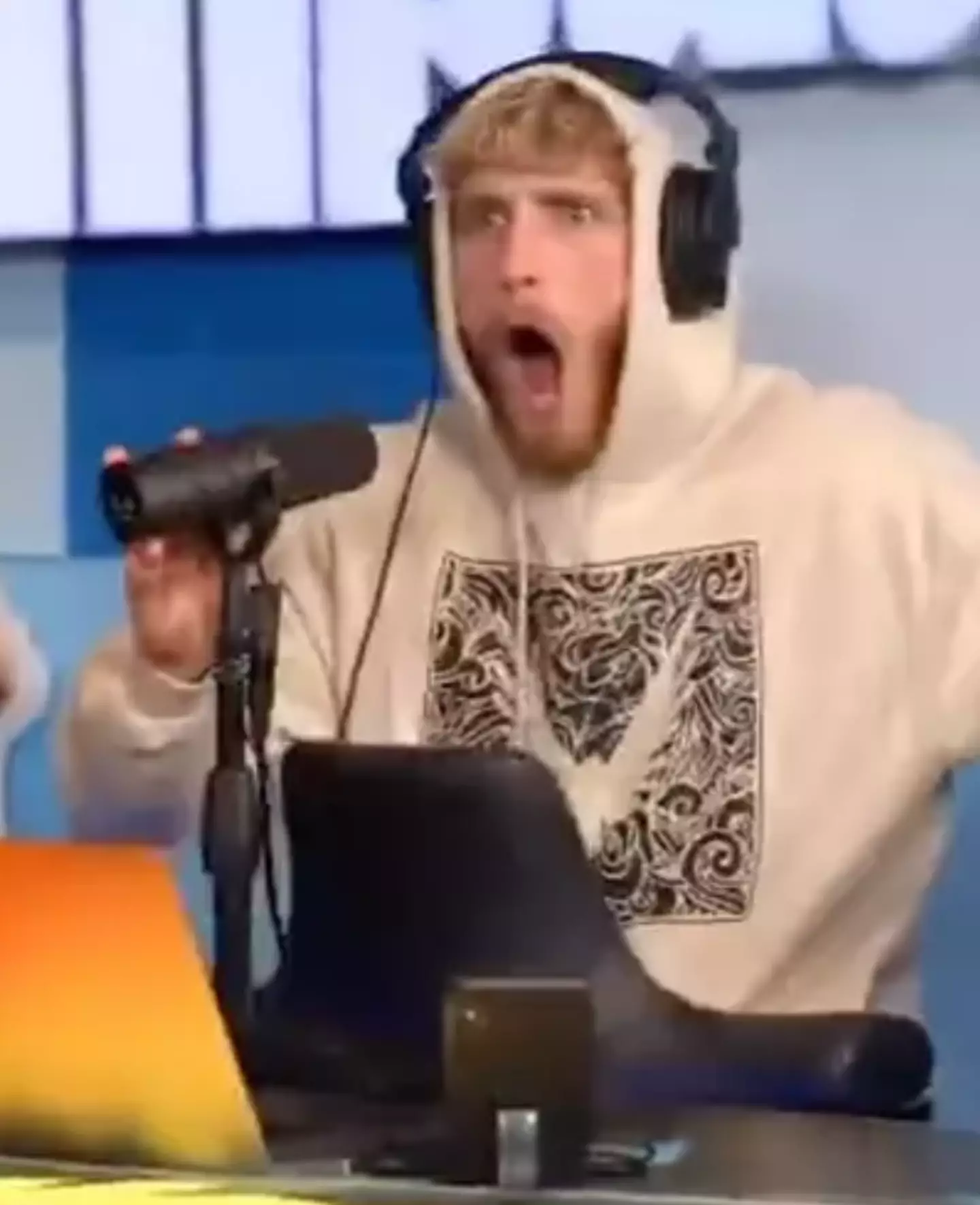 Logan Paul's opinions weren't hugely popular.