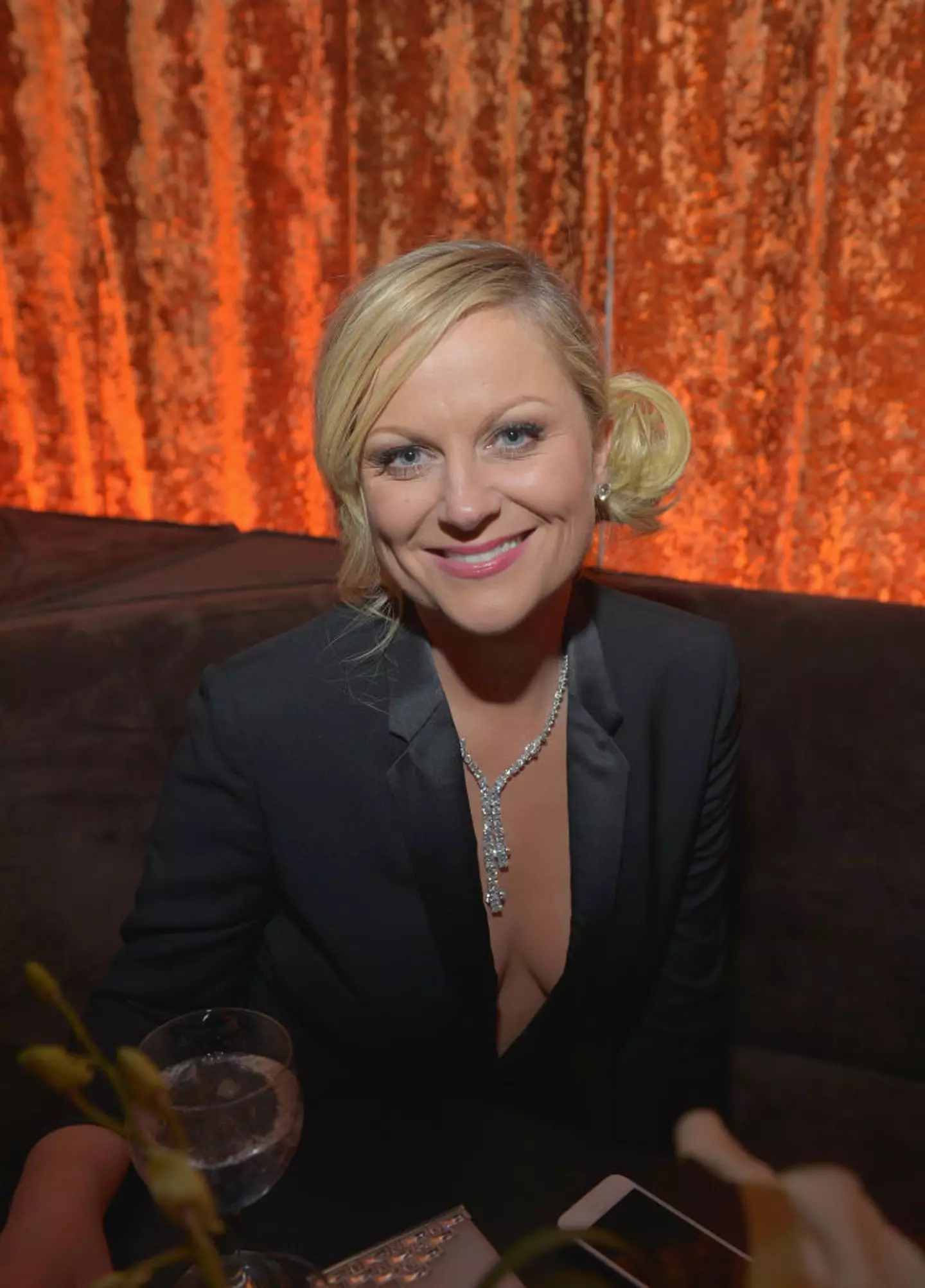 Amy Poehler made the joke back in 2013 (Charley Gallay/Getty Images for Chopard)