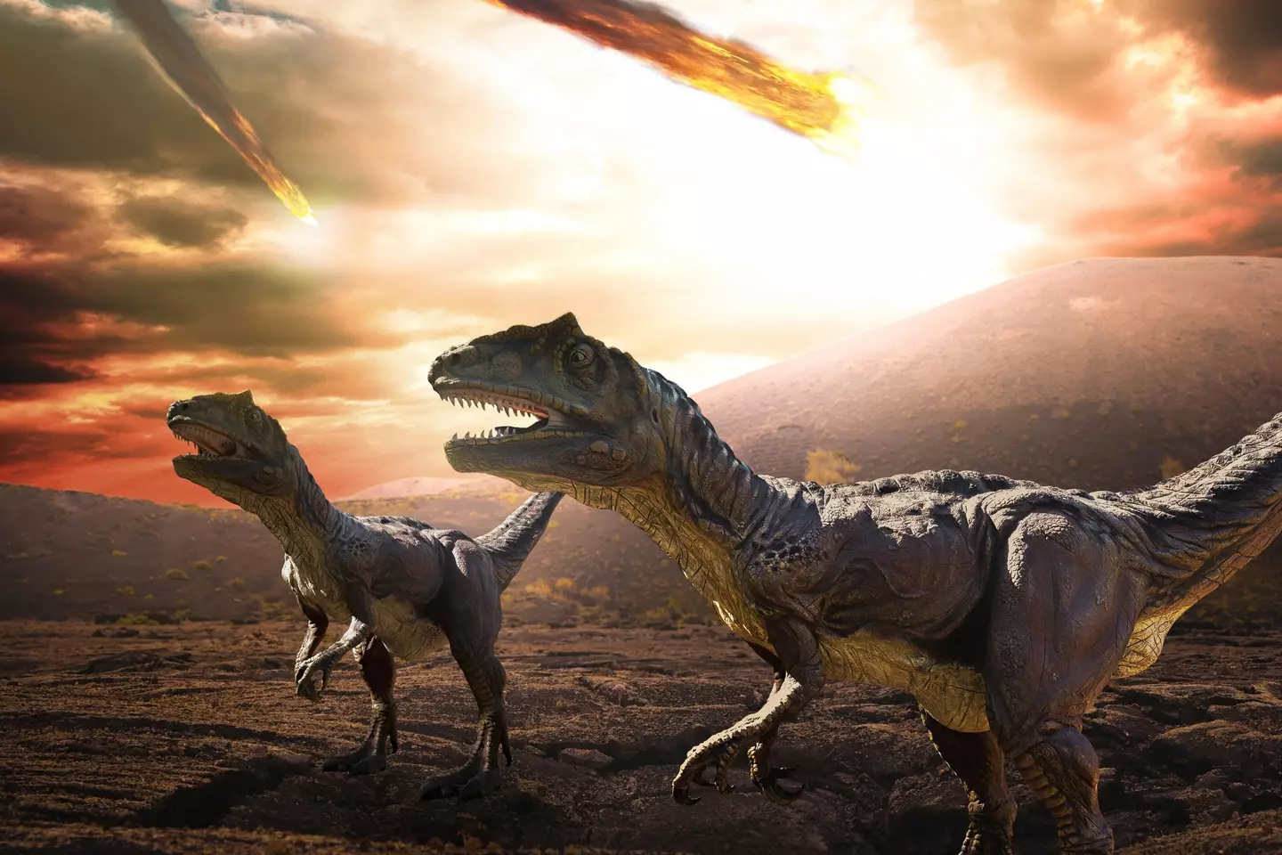 The last time an event like this happened, it killed off the dinosaurs (Getty Images)