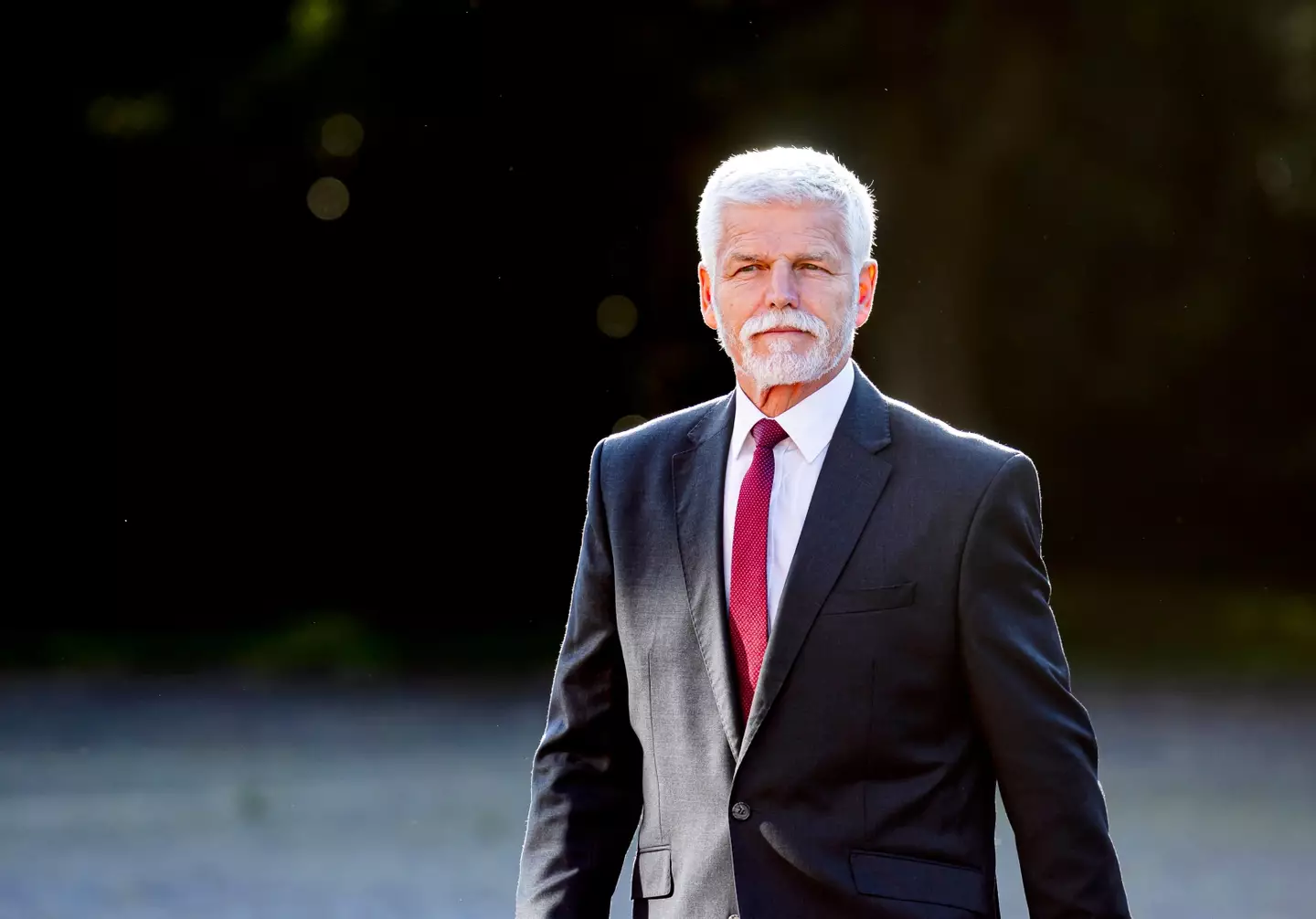 Petr Pavel has been speaking about how NATO should deal with Russia (Patrick van Katwijk/Getty Images)