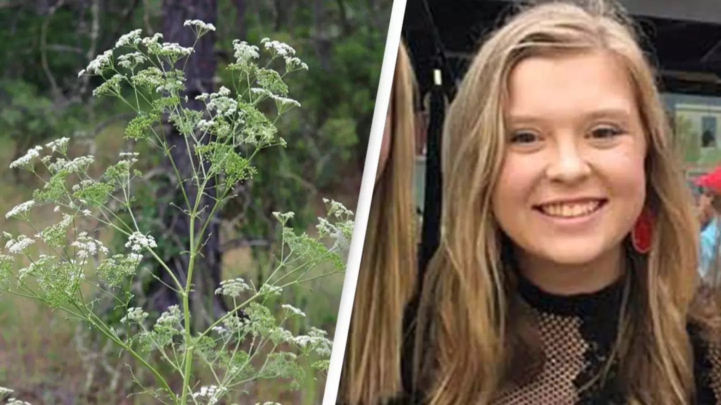 Woman left unable to breathe after touching plant that can kill humans within three hours