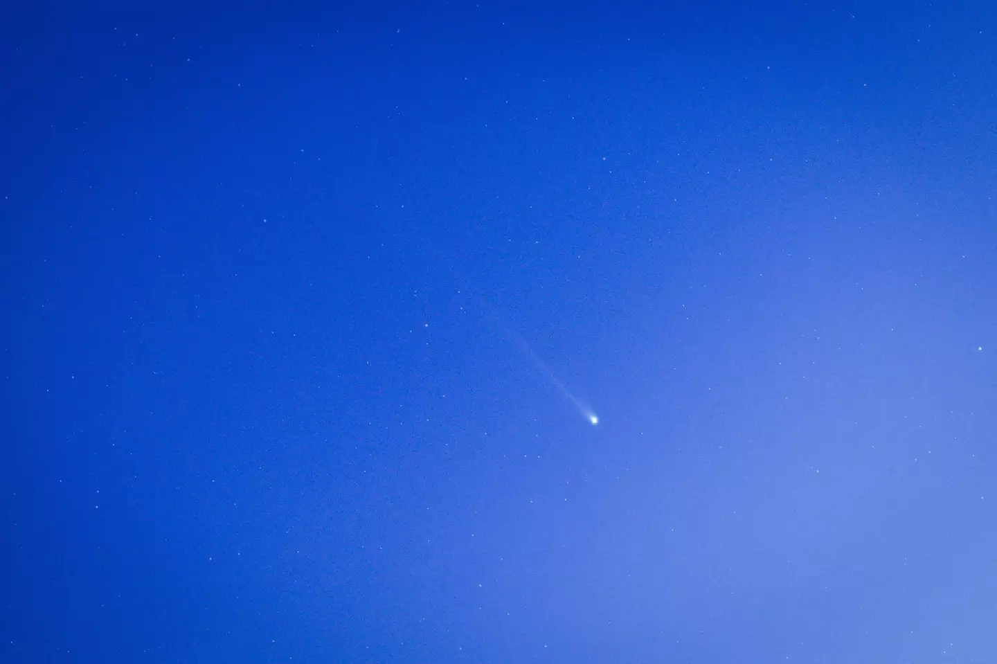 Comet Nishimura is known to have a long tail.