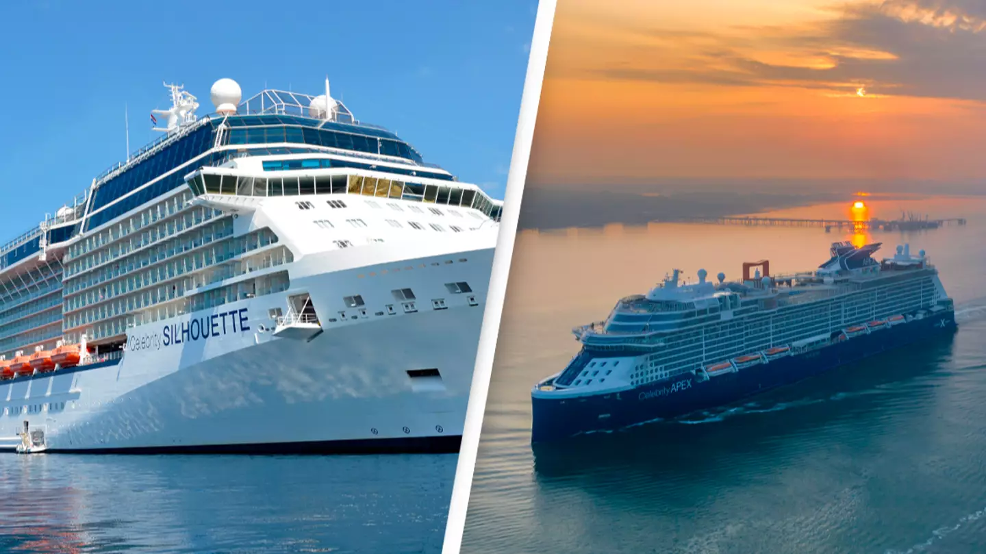 Cruise liner sued for allegedly putting dead passenger in drinks cooler