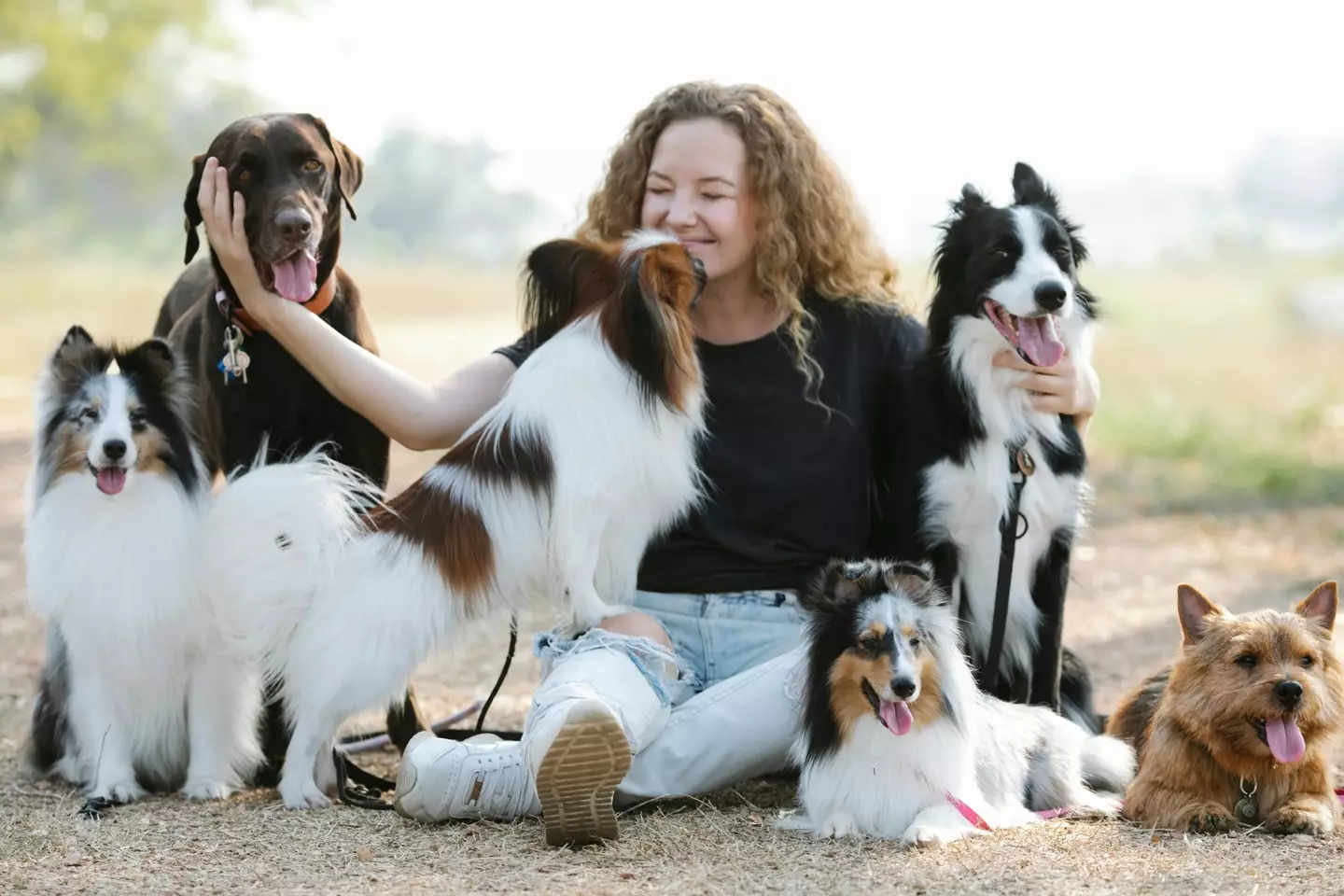 Dogs are said to mimic their owners' accents.