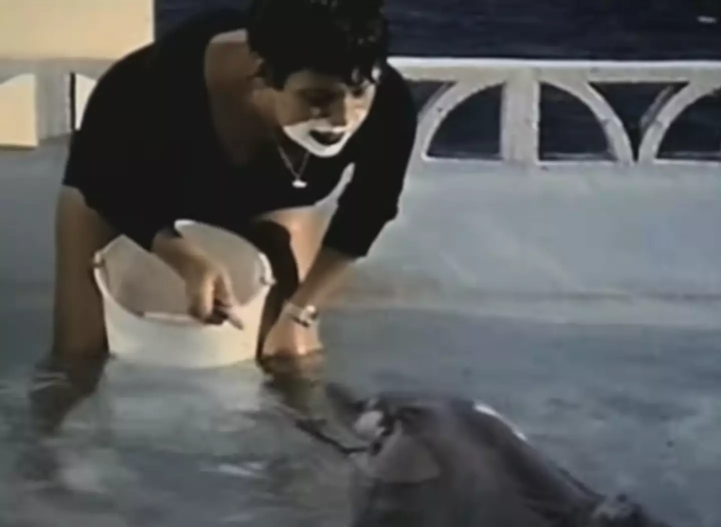 Margaret sought to teach the dolphins to speak English (BBC)