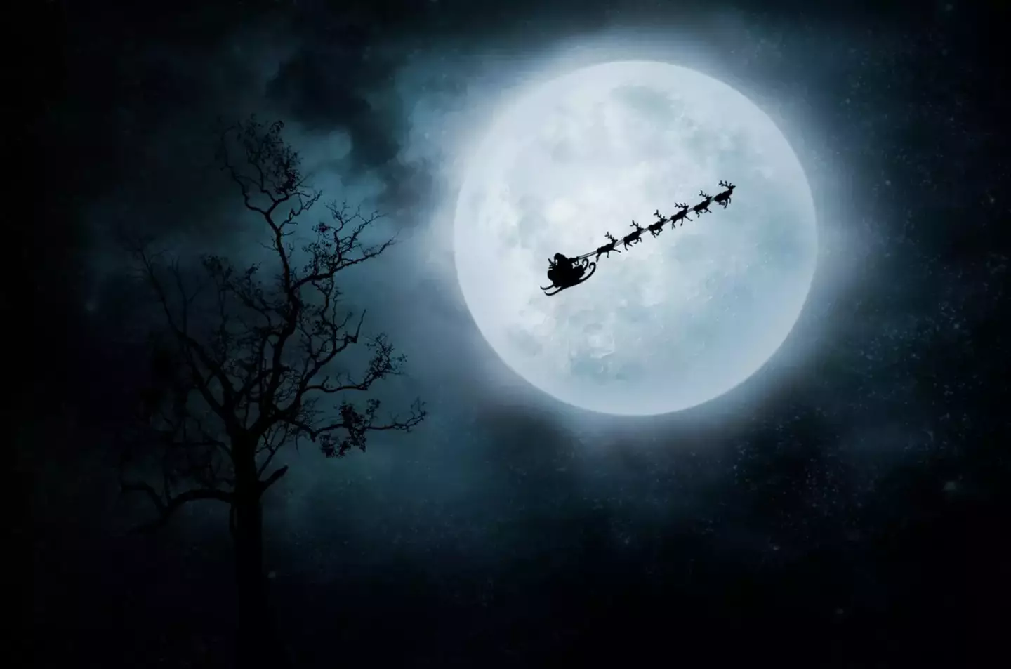 Are you tracking Santa this Christmas Eve?